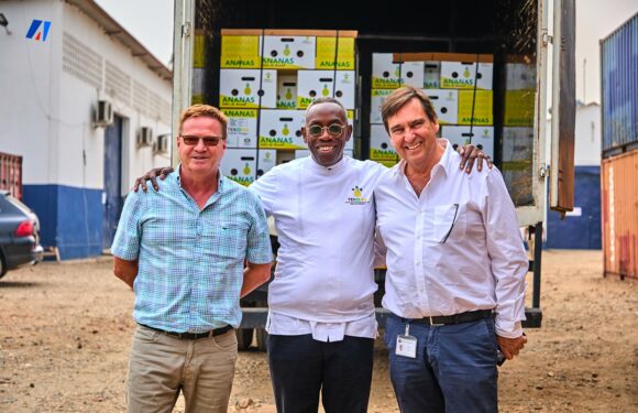 Burundi : TEKOMA exporte des ananas vers la Suisse