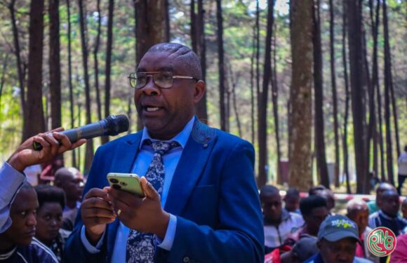 𝗚𝗶𝘁𝗲𝗴𝗮 : 𝗘𝗻𝘁𝗿𝗲 𝗿𝗲́𝗮𝗹𝗶𝘀𝗮𝘁𝗶𝗼𝗻𝘀 𝘁𝗮𝗻𝗴𝗶𝗯𝗹𝗲𝘀 𝗲𝘁 𝗱𝗲́𝗳𝗶𝘀 𝗮̀ 𝗿𝗲𝗹𝗲𝘃𝗲𝗿