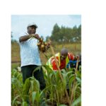 Le Président Ndayishimiye poursuit son appui aux initiatives des entrepreneurs. IMG-20250913-WA0009