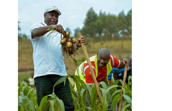 Le Président Ndayishimiye poursuit son appui aux initiatives des entrepreneurs.