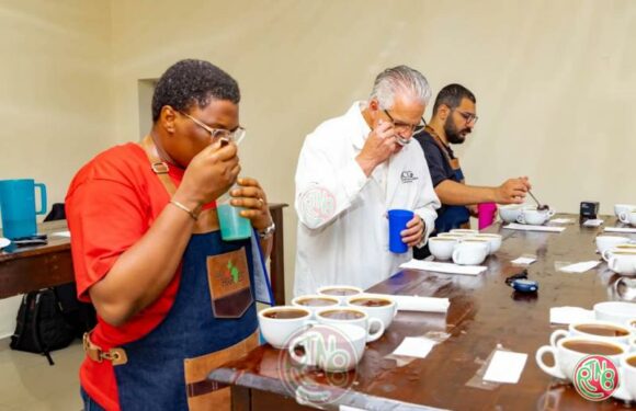 « 𝐋𝐞 𝐜𝐚𝐟𝐞́ 𝐛𝐮𝐫𝐮𝐧𝐝𝐚𝐢𝐬 𝐞𝐬𝐭 𝐚𝐛𝐬𝐨𝐥𝐮𝐦𝐞𝐧𝐭 𝐢𝐧𝐜𝐫𝐨𝐲𝐚𝐛𝐥𝐞 » (𝐑𝐨𝐜𝐤𝐲 𝐑𝐨𝐝𝐞𝐬)