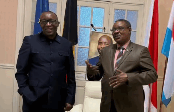 Burundi : L’Ambassadeur Ntahiraja accueille le Ministre Bizimana Edouard en Belgique