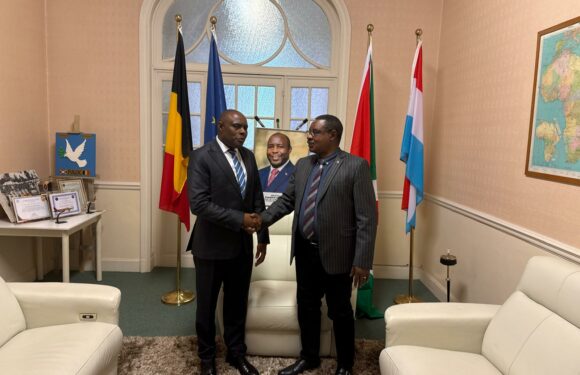 Burundi / Diaspora : Manirakiza Mélance de Norvège félicite l’hospitalité diplomatique en Belgique