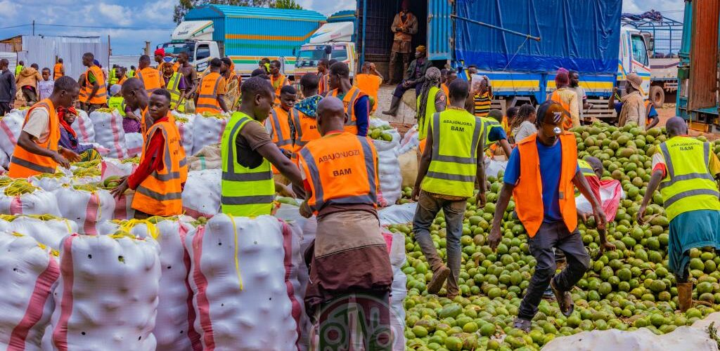 Burundi : 200 à 300 tonnes d’avocats exportées chaque jour vers la Tanzanie et le Kenya