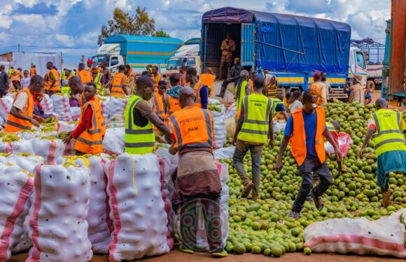 Burundi : 200 à 300 tonnes d’avocats exportées chaque jour vers la Tanzanie et le Kenya
