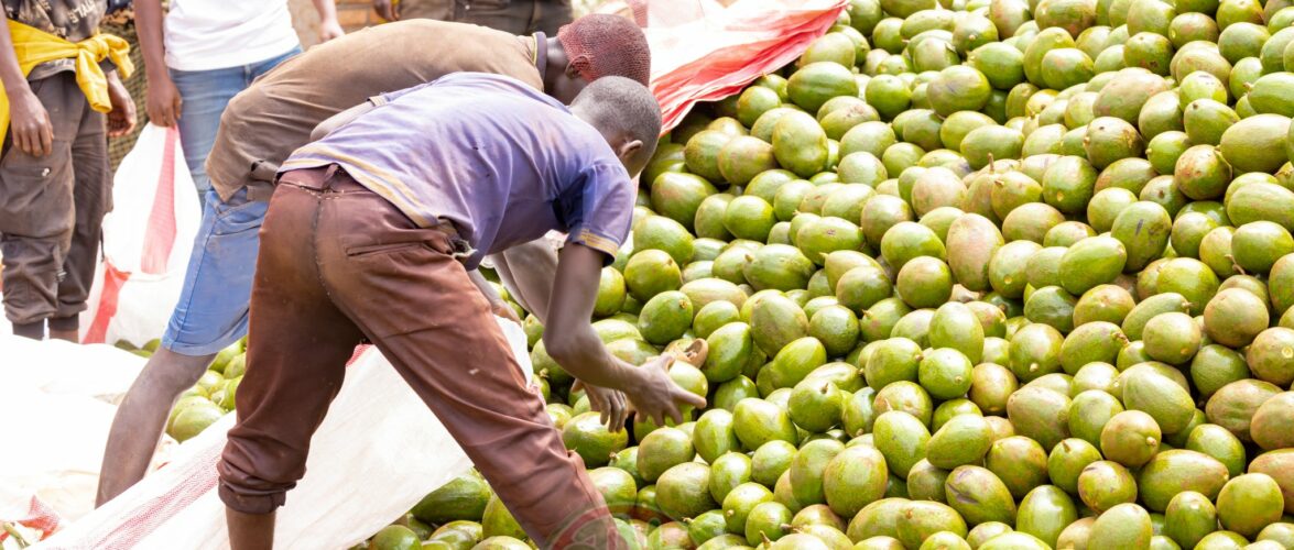 Burundi : Les avocats de Muyinga, un véritable moteur socio-économique