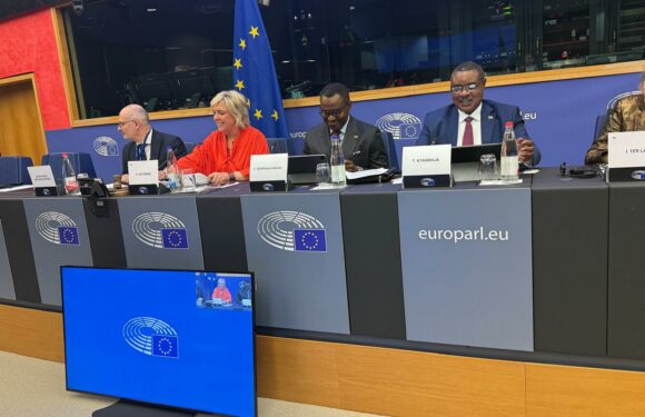 Burundi / RDC – Kivu : L&rsquo;ambassadeur Ntahiraja dénonce le Rwanda (M23) au Parlement européen