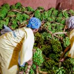 bdi_burundi_cibitoke_04_12012026_rtnbbi