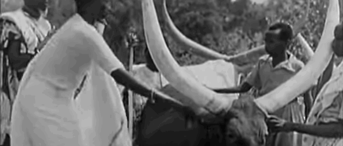 Burundi, Rwanda, RDC : « L’outil raciste géopolitique colonial du conflit interethnique Hutu – Tutsi » de 1911