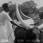 bdi_burundi_rwanda_raciste_tutsi011939-01