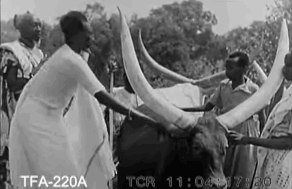 Burundi, Rwanda, RDC : « L’outil raciste géopolitique colonial du conflit interethnique Hutu – Tutsi » de 1911