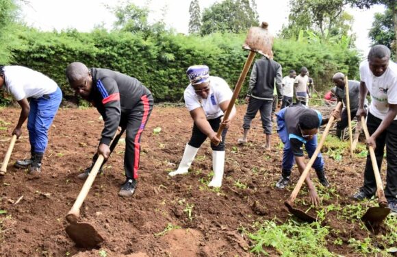 Burundi : TDC – Nettoyer et assainir le quartier amsar en commune Cankuzo