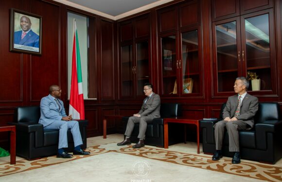 Burundi : Le Premier ministre reçoit l’ambassadeur a.i. de Chine