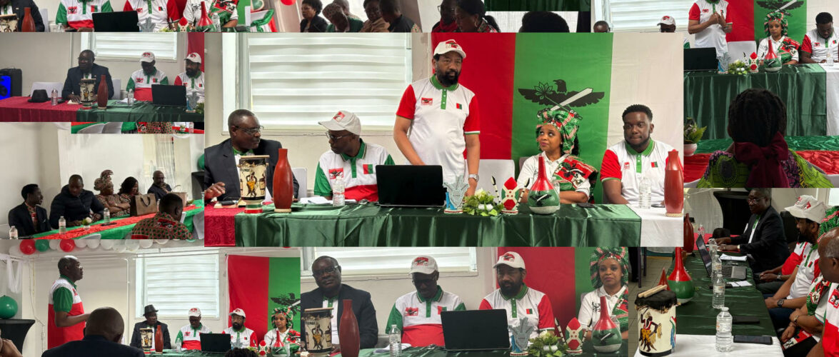 Burundi / Diaspora : La section CNDD-FDD Belgique en assemblée