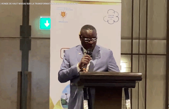 Burundi , Uburundi / Ububiligi : Bruxelles yakiriye ikiganiro co ku rwego rwo hejuru ku guhindura uburimyi mu buryo burama