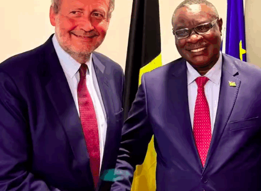 Burundi / Diplomatie – Belgique : Ntahiraja Thérence renforce ses contacts à Bruxelles