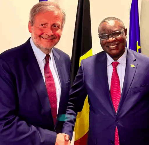 Burundi / Diplomatie – Belgique : Ntahiraja Thérence renforce ses contacts à Bruxelles