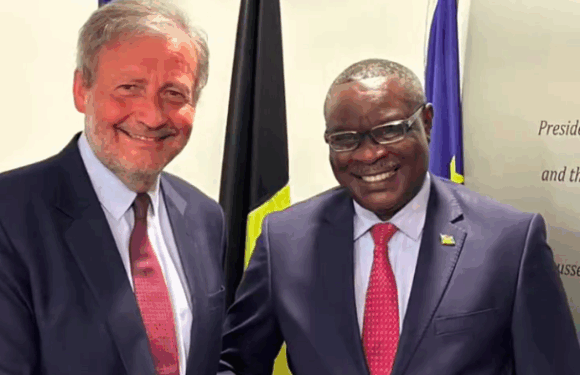 Burundi , Uburundi / Dipolomasi – Ububiligi : Ntahiraja Thérence akomeza gutsimbataza imigenderanire i Bruxelles