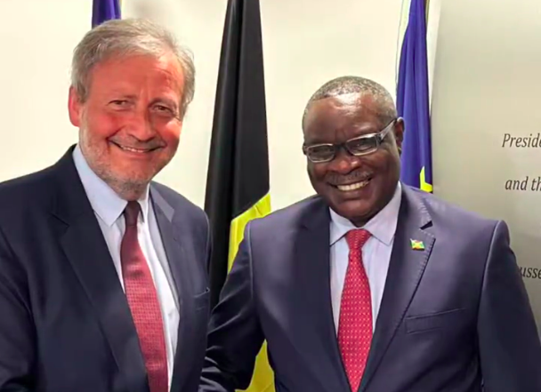 Burundi , Uburundi / Dipolomasi – Ububiligi : Ntahiraja Thérence akomeza gutsimbataza imigenderanire i Bruxelles