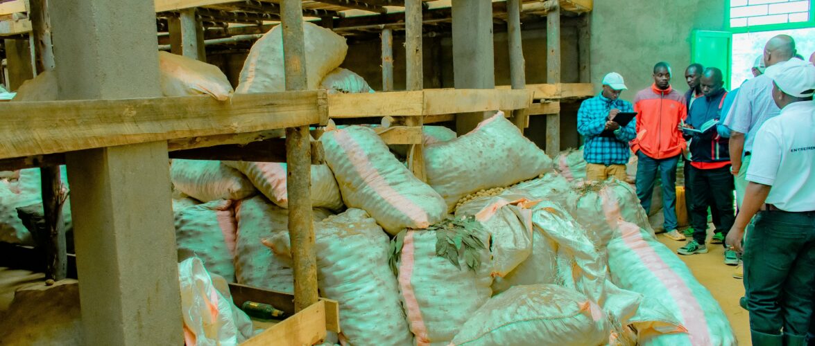 Burundi : Mission conjointe Gouvernement–IFDC à Kayanza et Ngozi