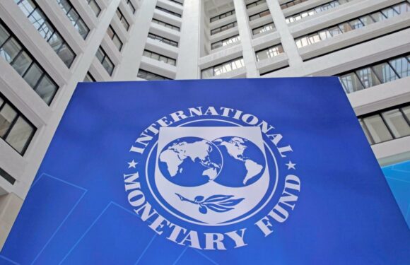 Burundi : Le FMI prévoit une croissance supérieure à 4 % jusqu’en 2031