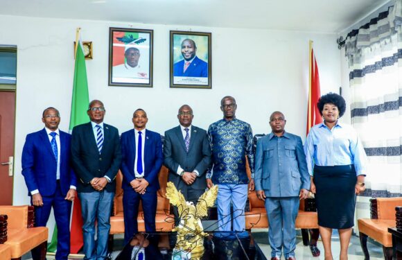 Burundi – Kenya : Le CNDD-FDD reçoit l&rsquo;ambassadeur Wambuma Henry