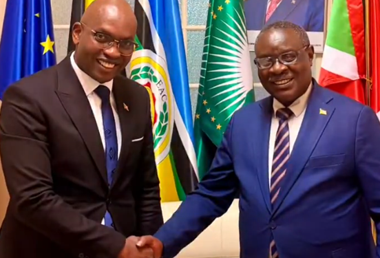 Burundi / Diplomatie : Rencontre entre Nyamitwe Willy et Ntahiraja Thérence à Bruxelles
