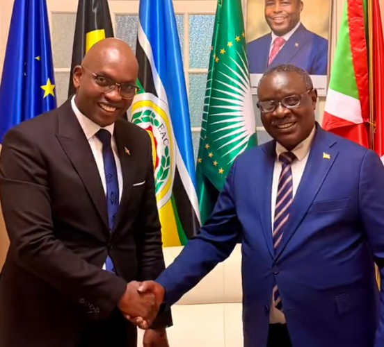 Burundi / Diplomatie : Rencontre entre Nyamitwe Willy et Ntahiraja Thérence à Bruxelles