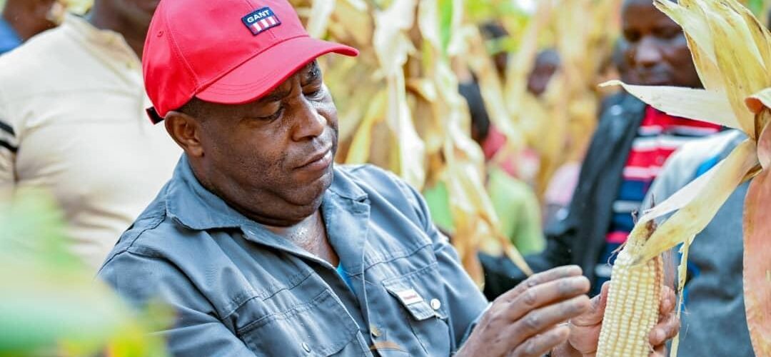 Vingt ans de transformations par le CNDD-FDD : comment les indicateurs hérités de la colonisation ignorent la réalité burundaise