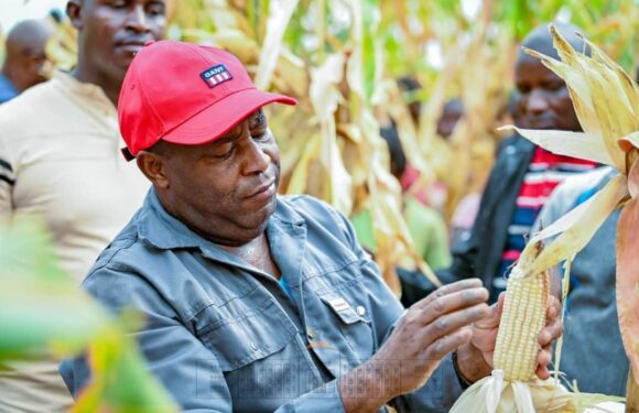 Vingt ans de transformations par le CNDD-FDD : comment les indicateurs hérités de la colonisation ignorent la réalité burundaise